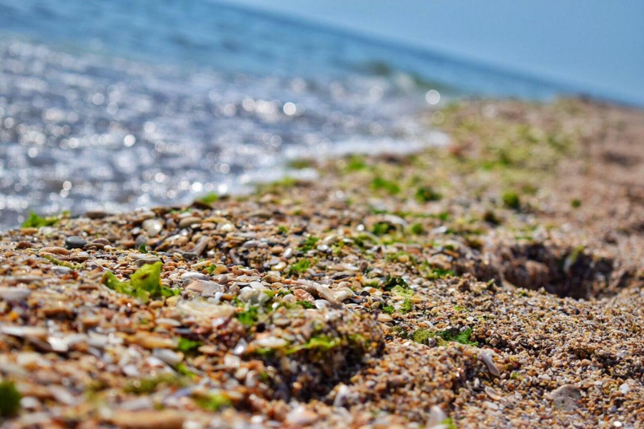 Valurile Marii Vama - Veche Hotel Vama Veche Buitenkant foto